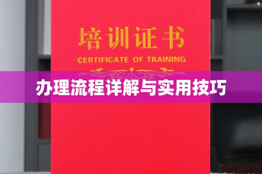 户县办理流程详解与实用技巧