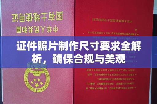 户县证件照片制作尺寸要求全解析，确保合规与美观