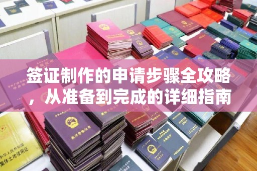 户县签证制作的申请步骤全攻略，从准备到完成的详细指南